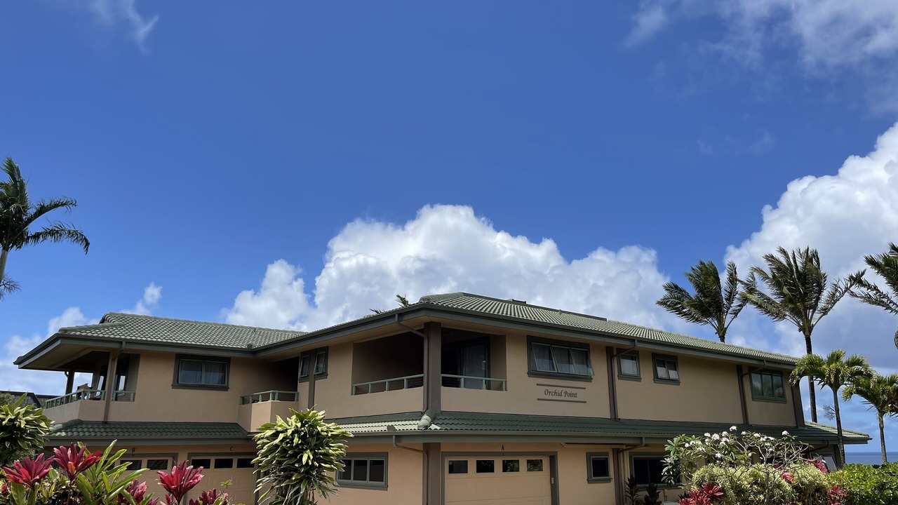 Photo of Outdoor in Princeville