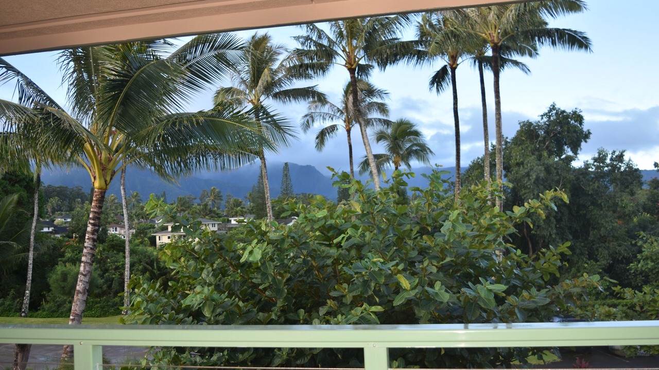 Photo of Others in Princeville