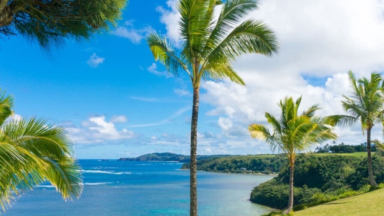 Photo of Others in Princeville