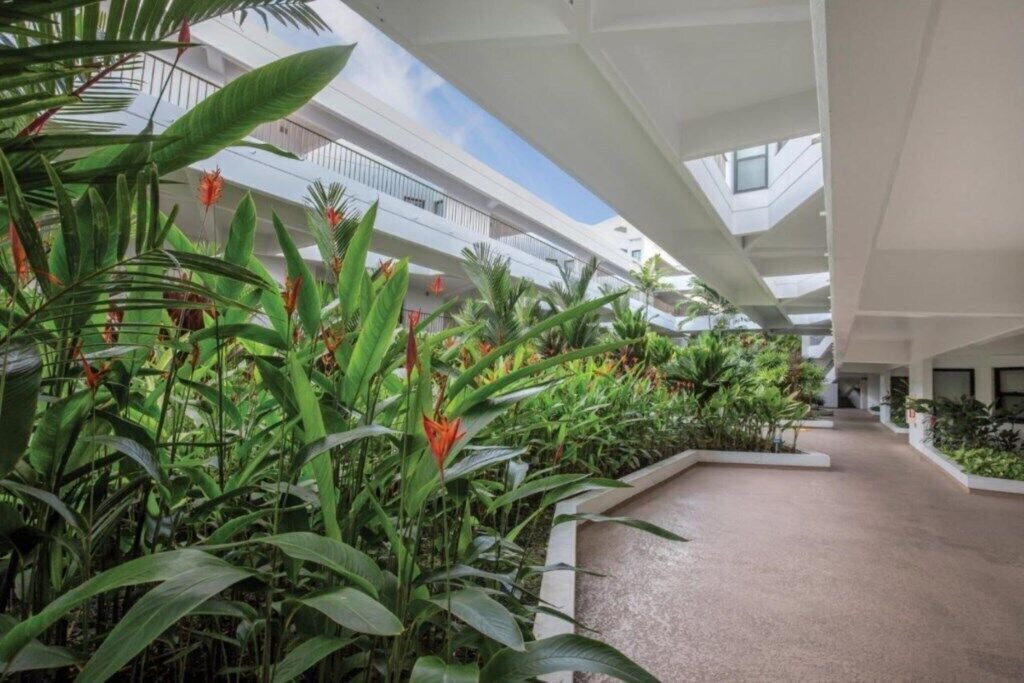 Photo of Outdoor in Kailua-Kona