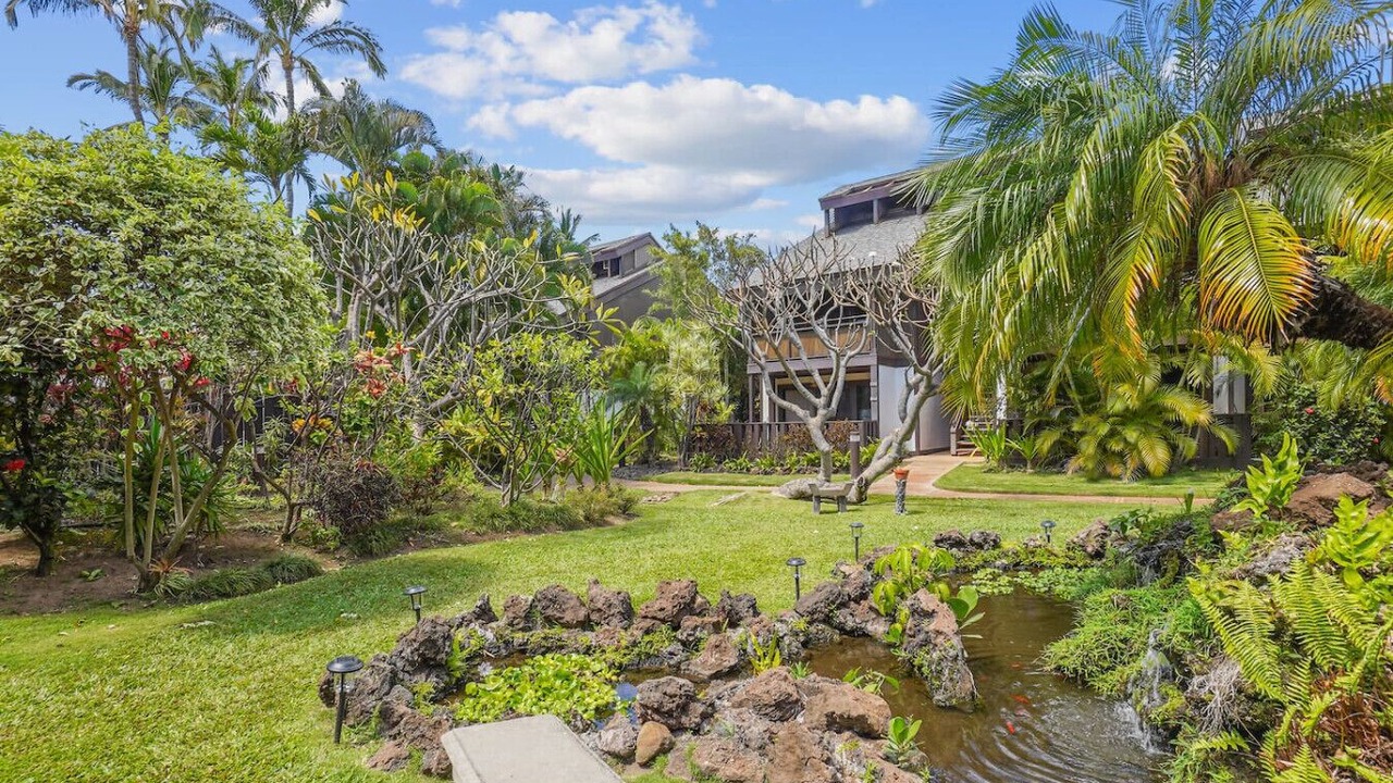 Photo of Outdoor in Kihei