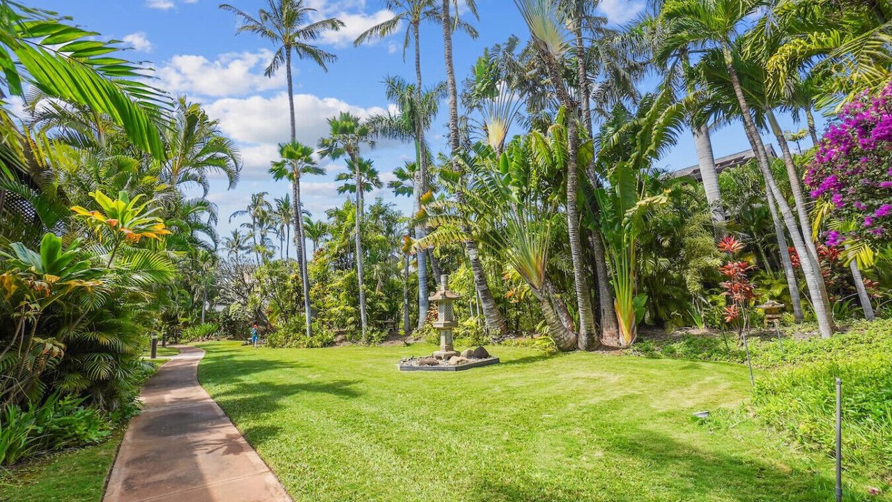 Photo of Outdoor in Kihei