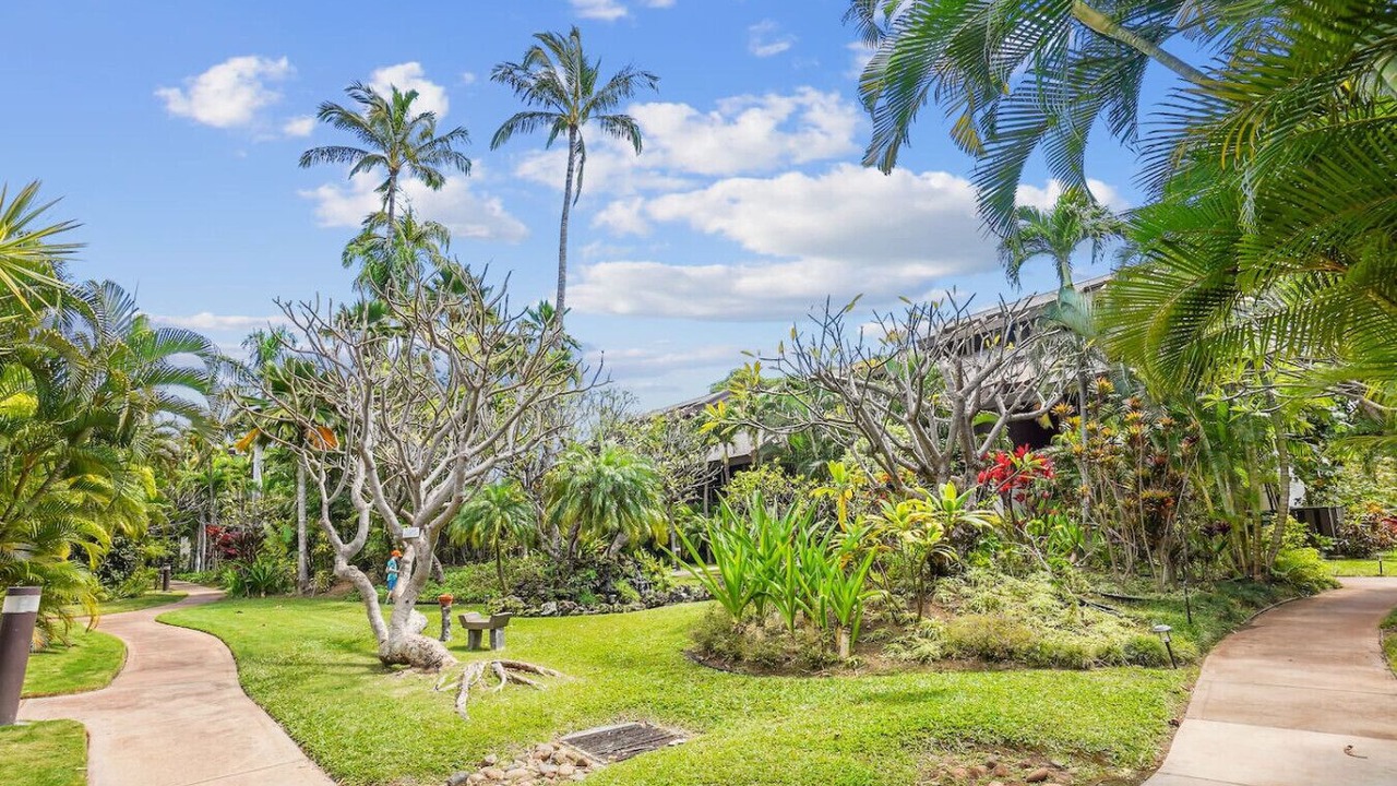 Photo of Outdoor in Kihei