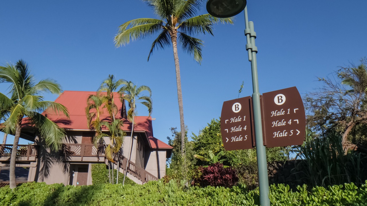 Photo of Outdoor in Kailua-Kona