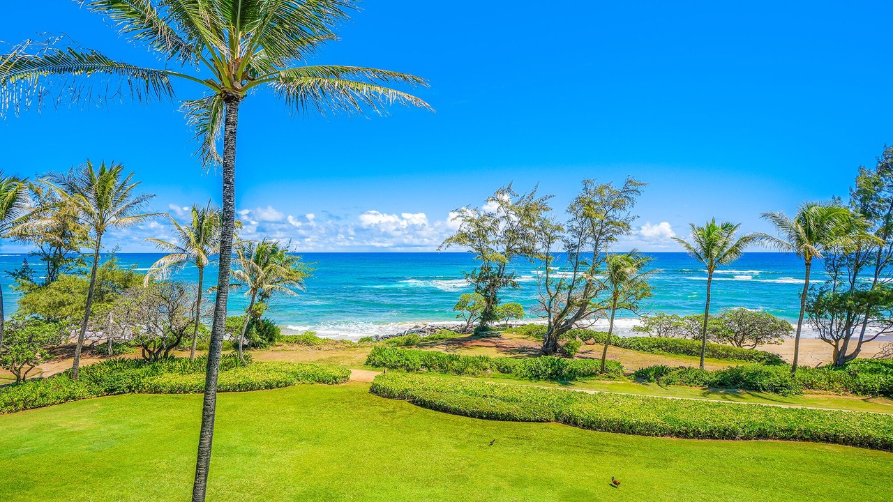 Photo of Others in Lihue