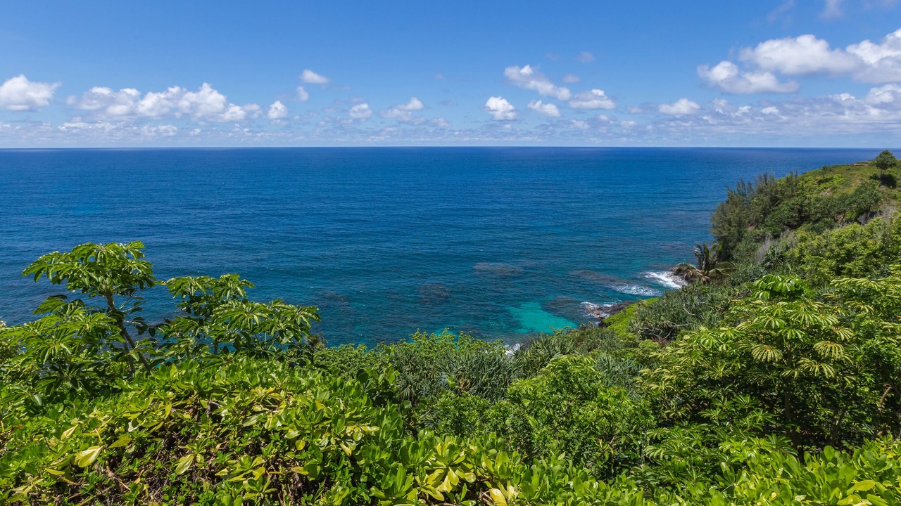 Photo of Others in Princeville
