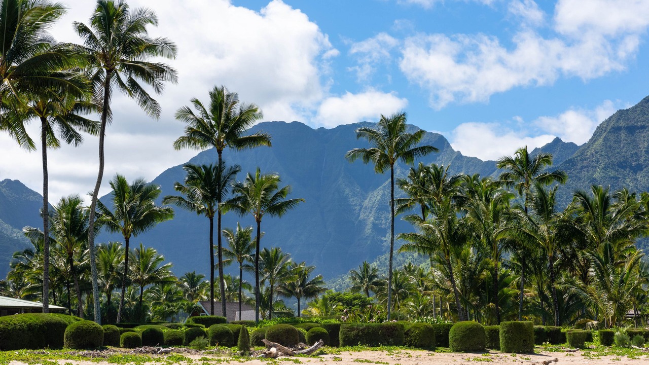 Photo of Outdoor in Princeville