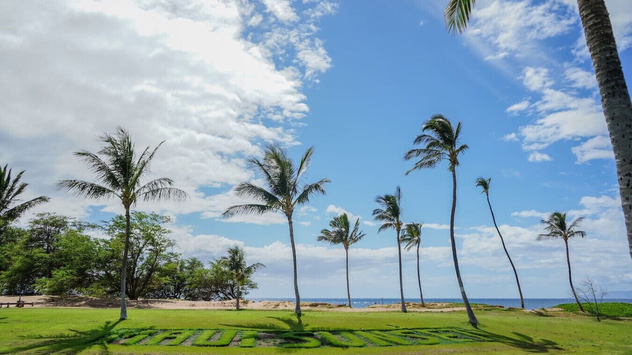 Photo of Others in Kihei