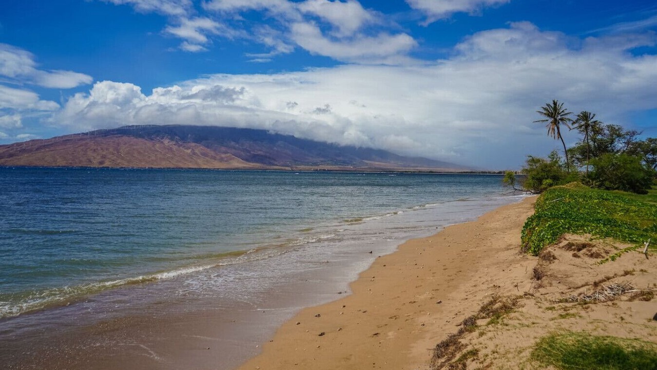 Photo of Others in Kihei