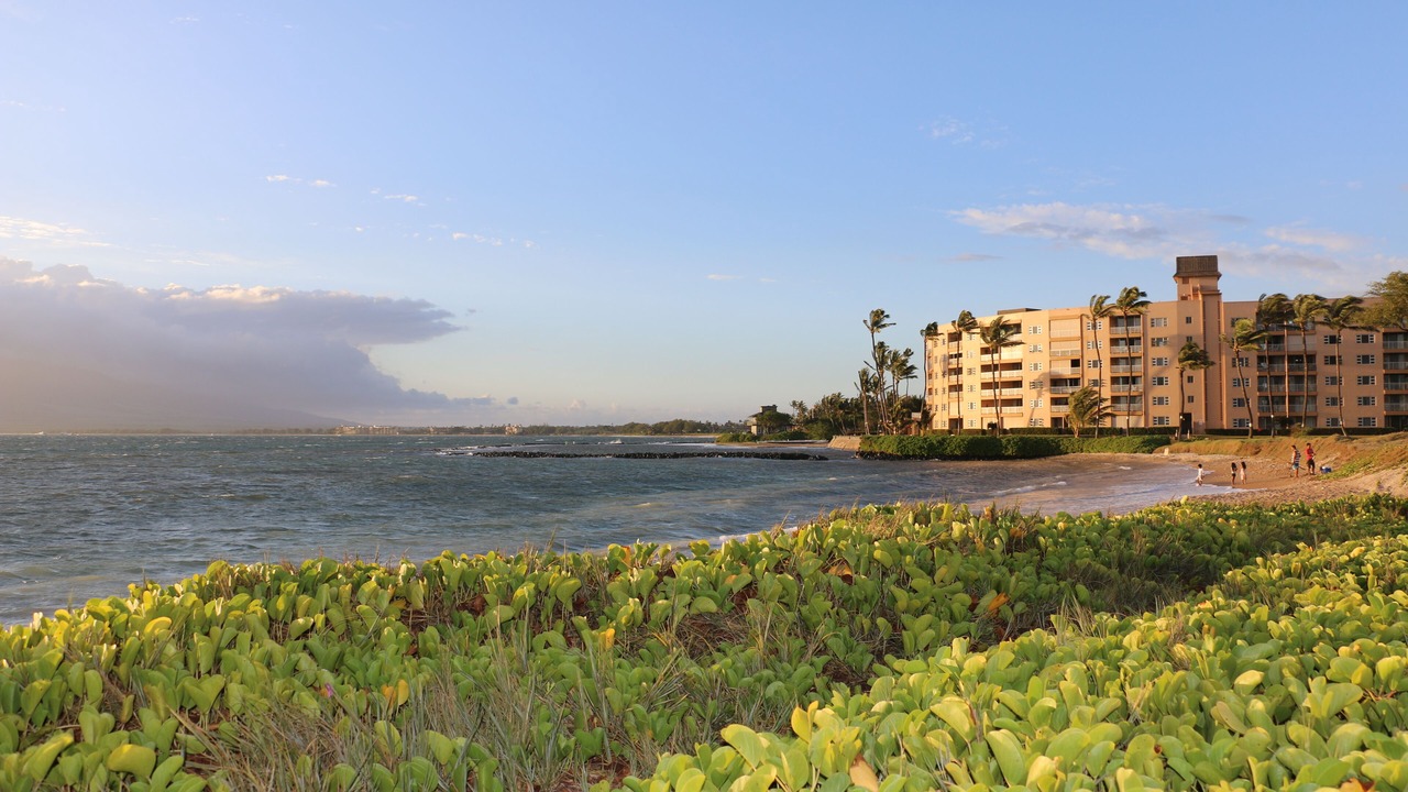 Photo of Others in Kihei