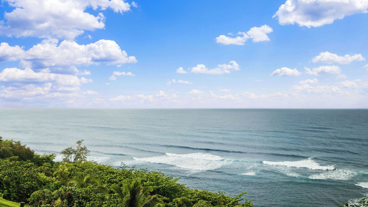 Photo of Others in Princeville