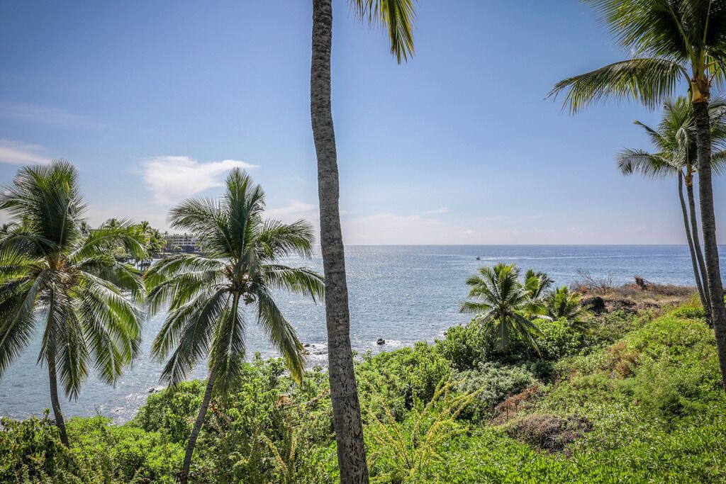 Photo of Others in Keauhou