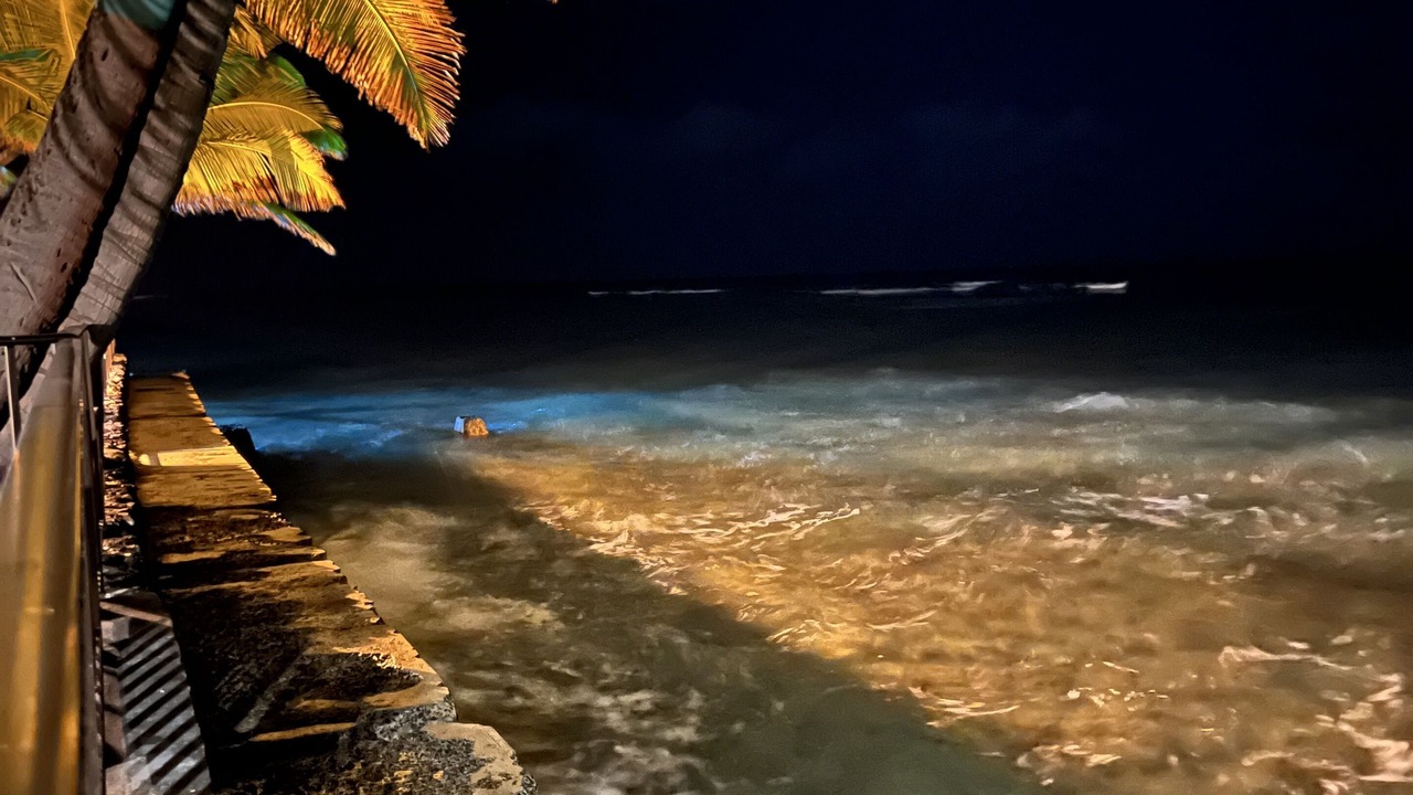 Photo of Outdoor in Diamond Head - Kapahulu - St. Louis