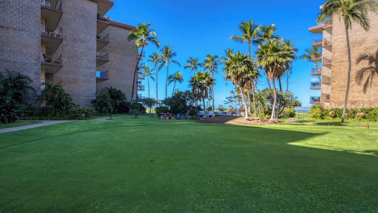 Photo of Outdoor in Kihei