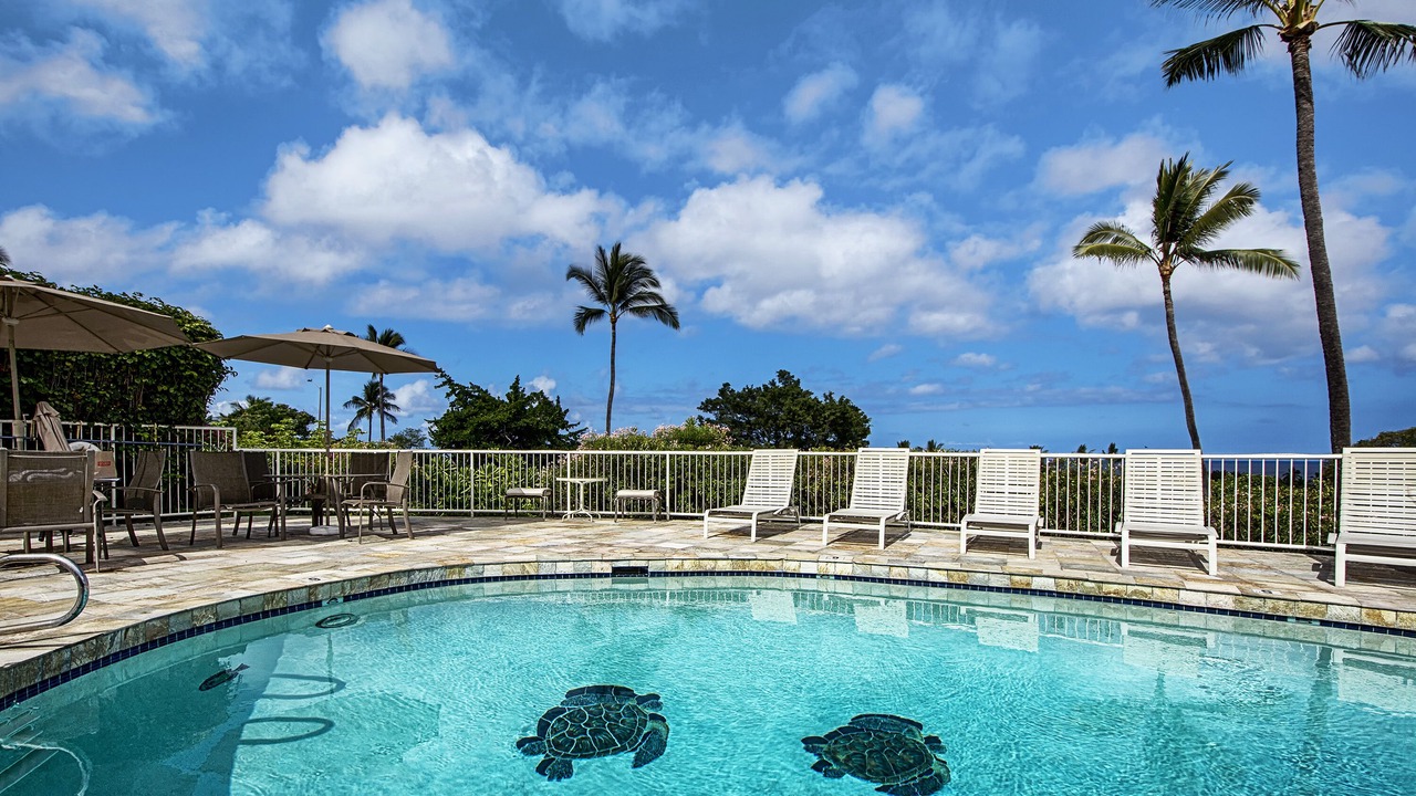Photo of Outdoor in Keauhou