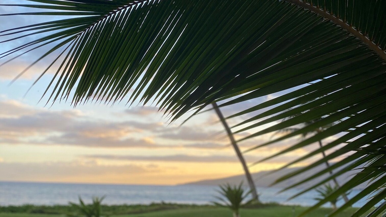 Photo of Outdoor in Kihei