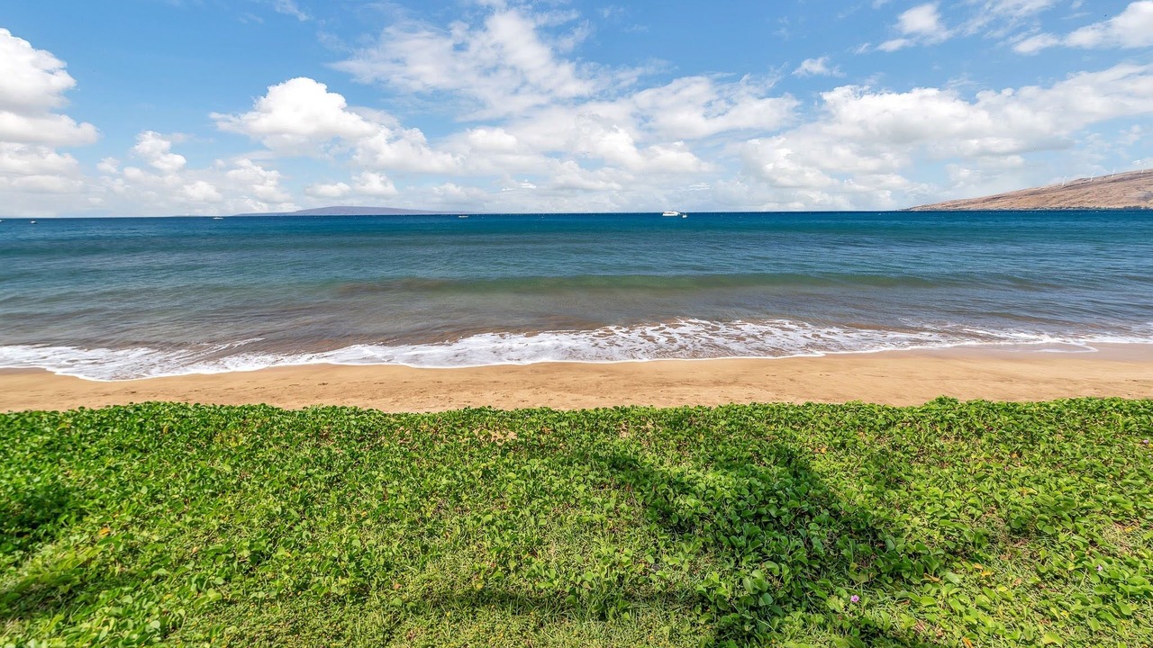 Photo of Others in Kihei
