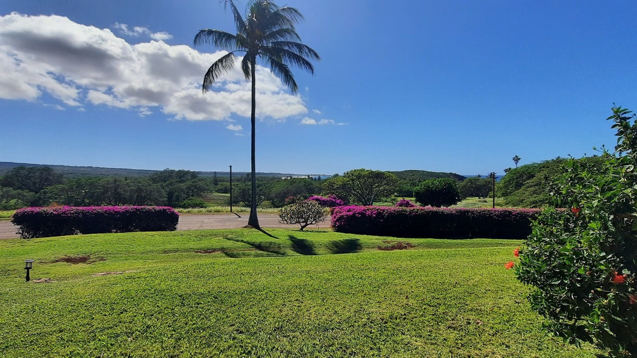 Photo of Outdoor in Maunaloa