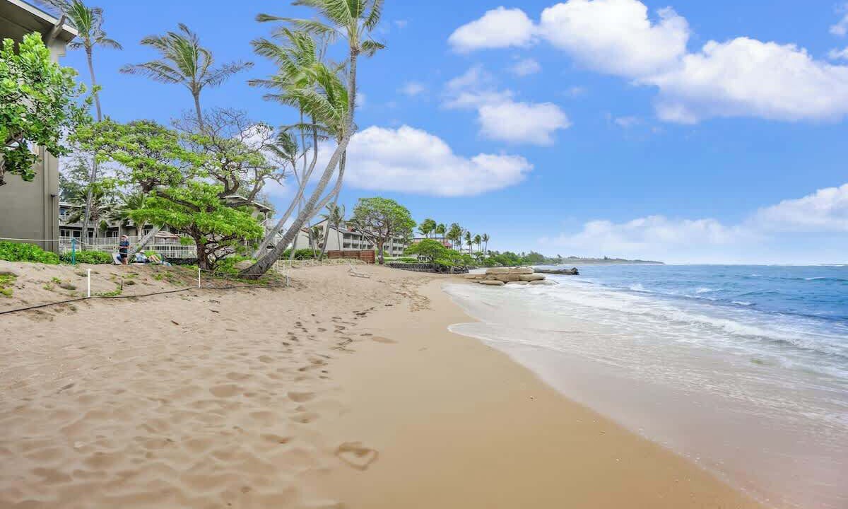 Photo of Others in Wailua