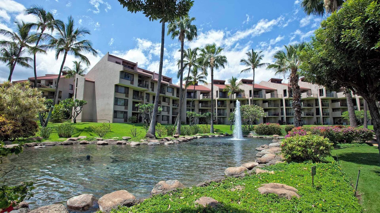 Photo of Outdoor in Kihei