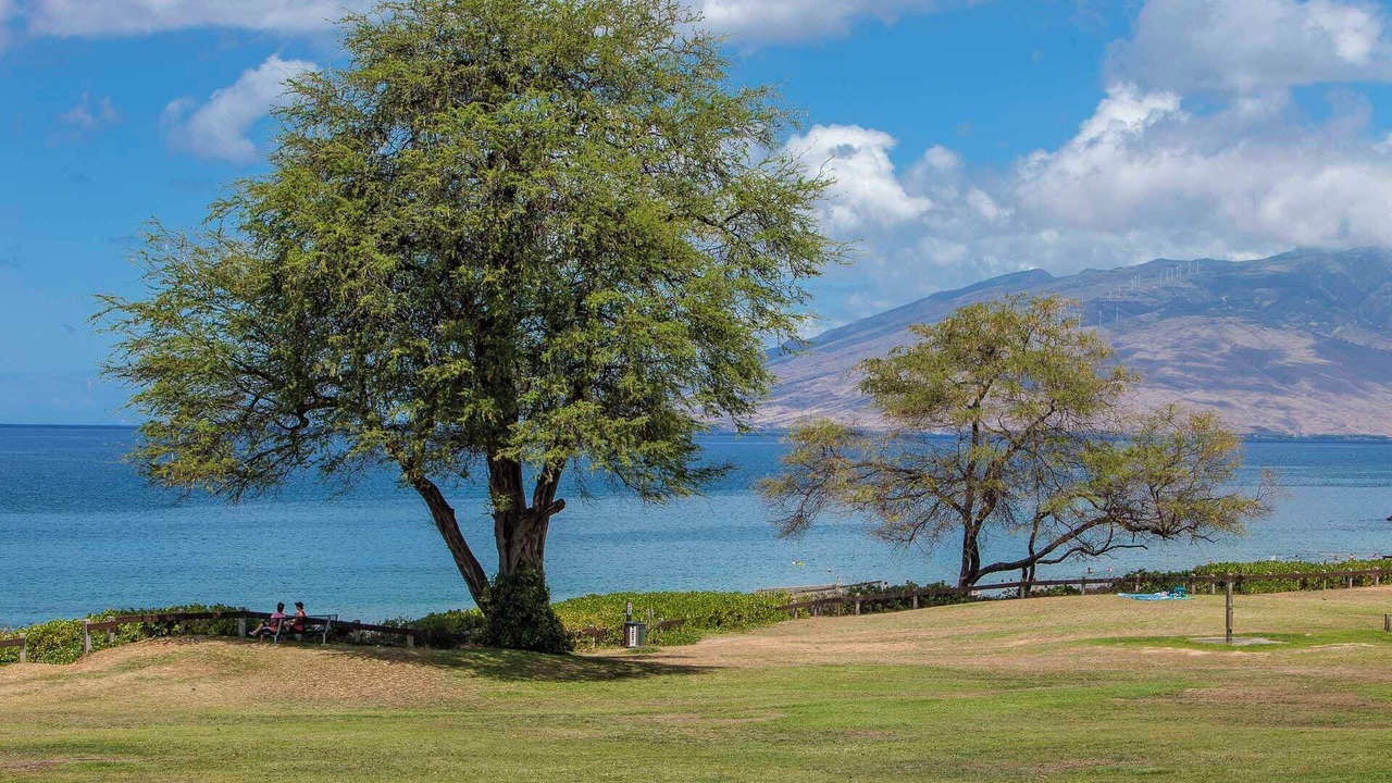 Photo of Others in Kihei