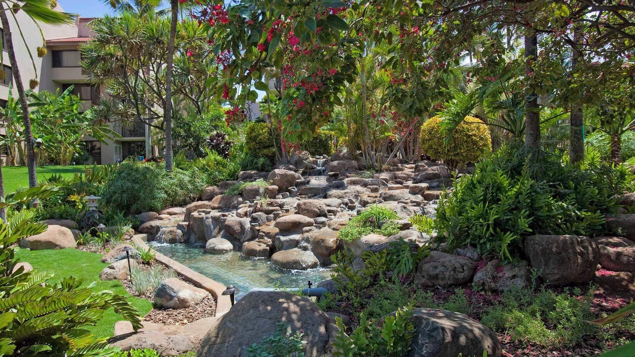 Photo of Outdoor in Kihei