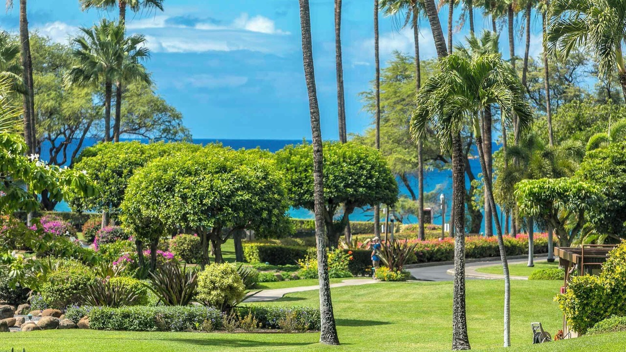 Photo of Outdoor in Kihei