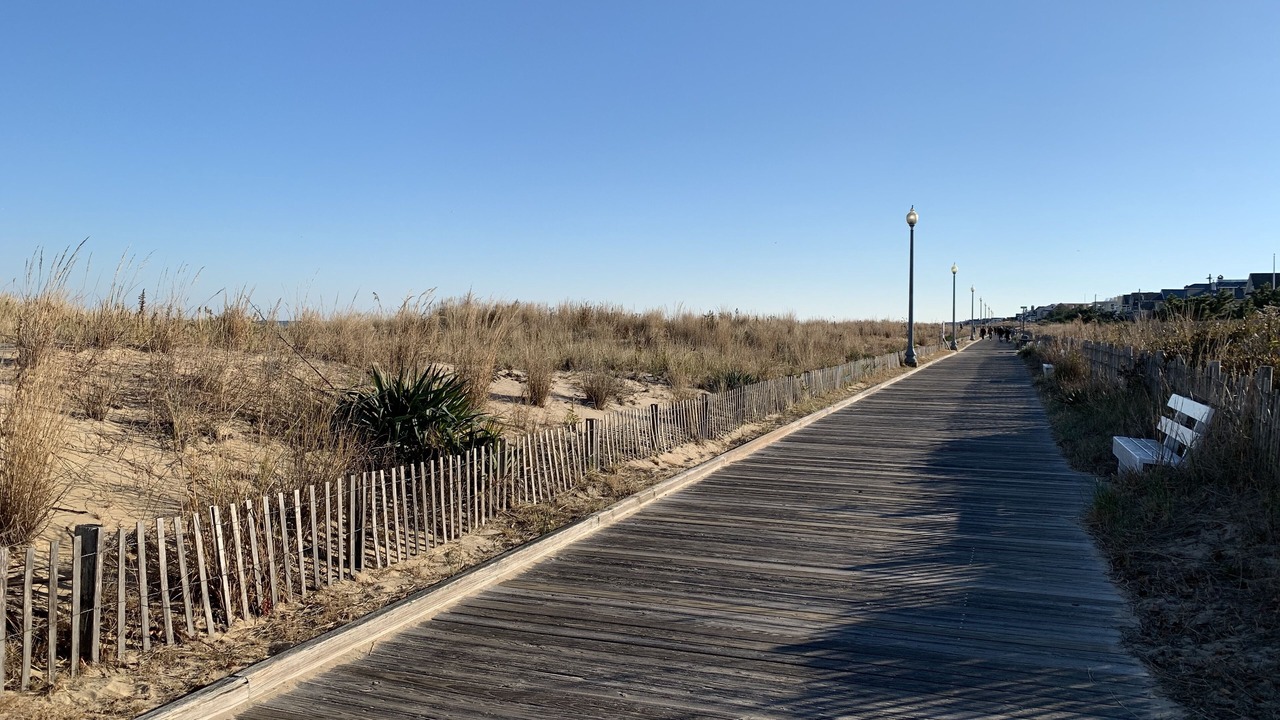 Photo of Others in South Rehoboth