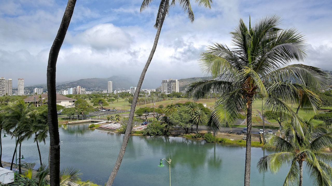 Photo of Others in Waikiki
