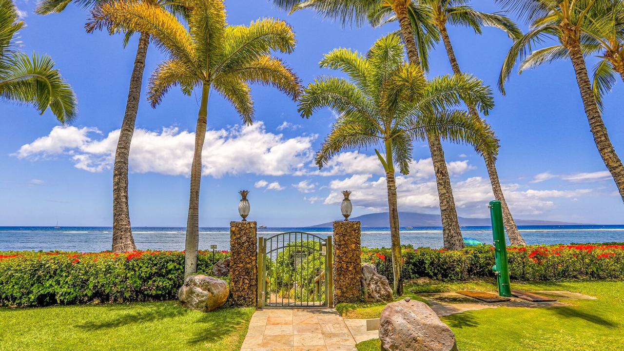 Photo of Outdoor in Historic Lahaina Front Street