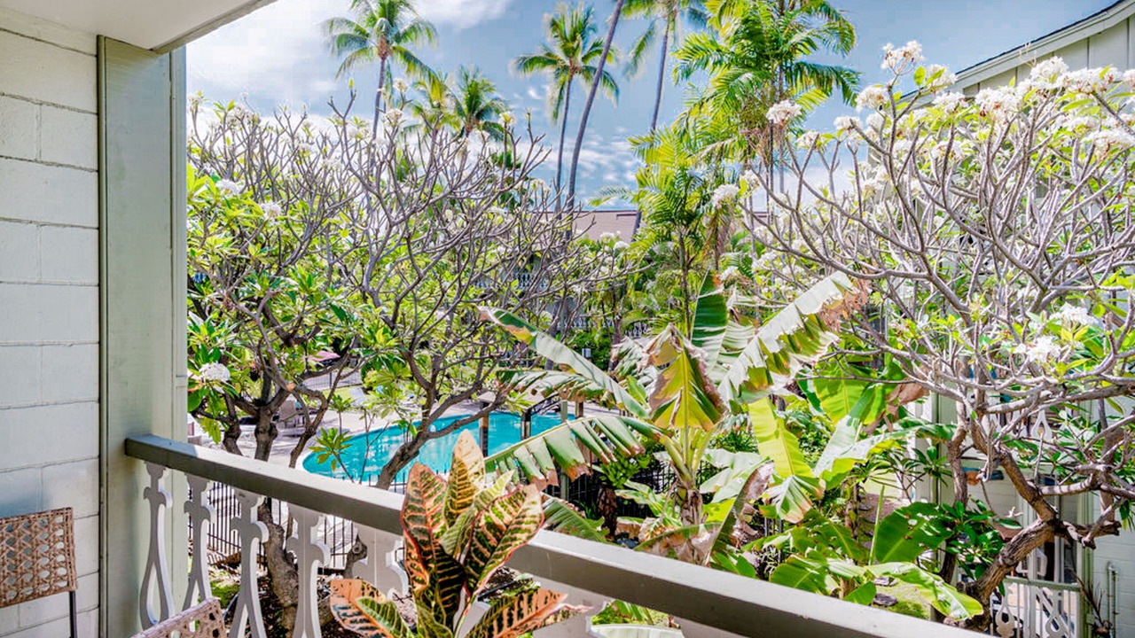 Photo of Outdoor in Historic Kailua Village