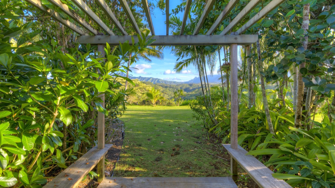 Photo of Others in Kalihiwai
