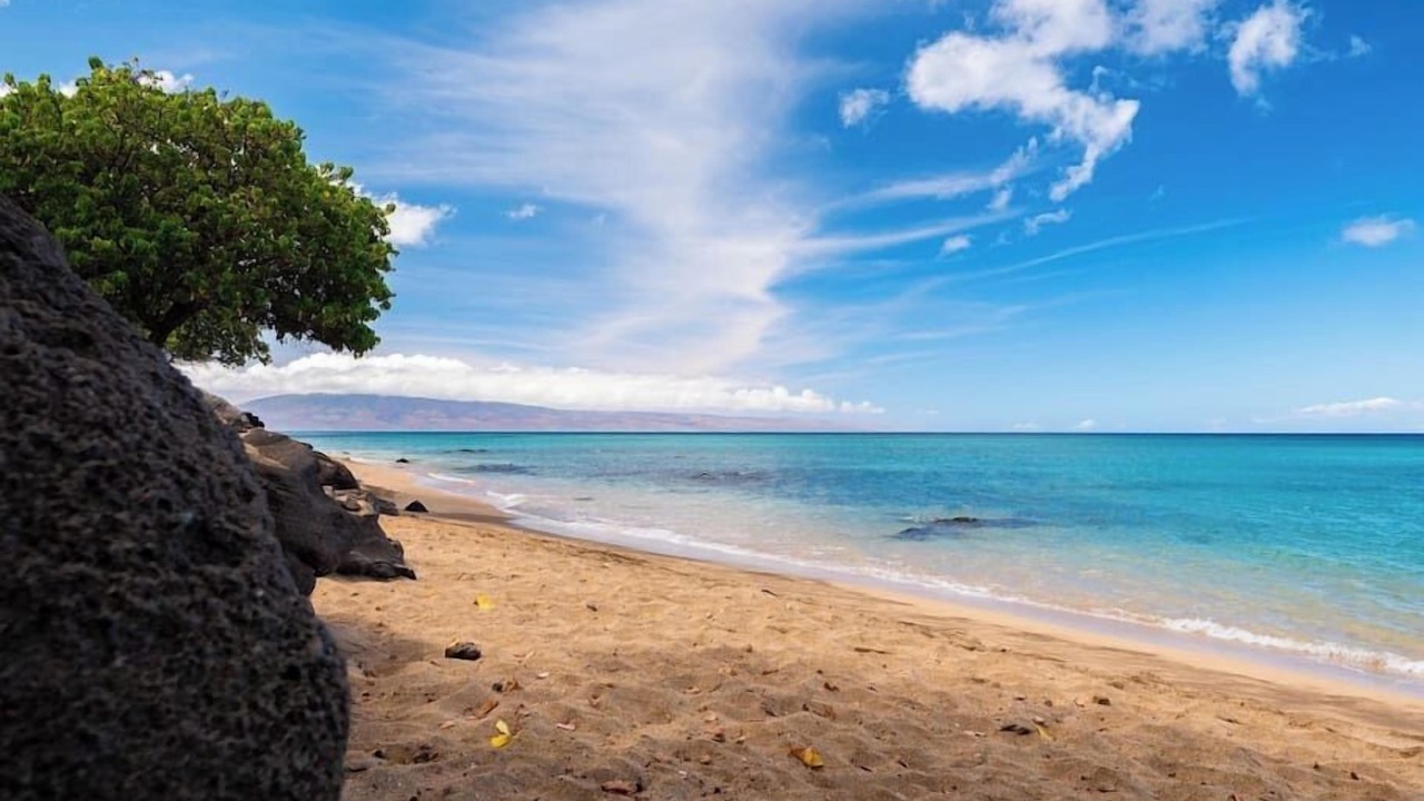 Photo of Others in Kahana