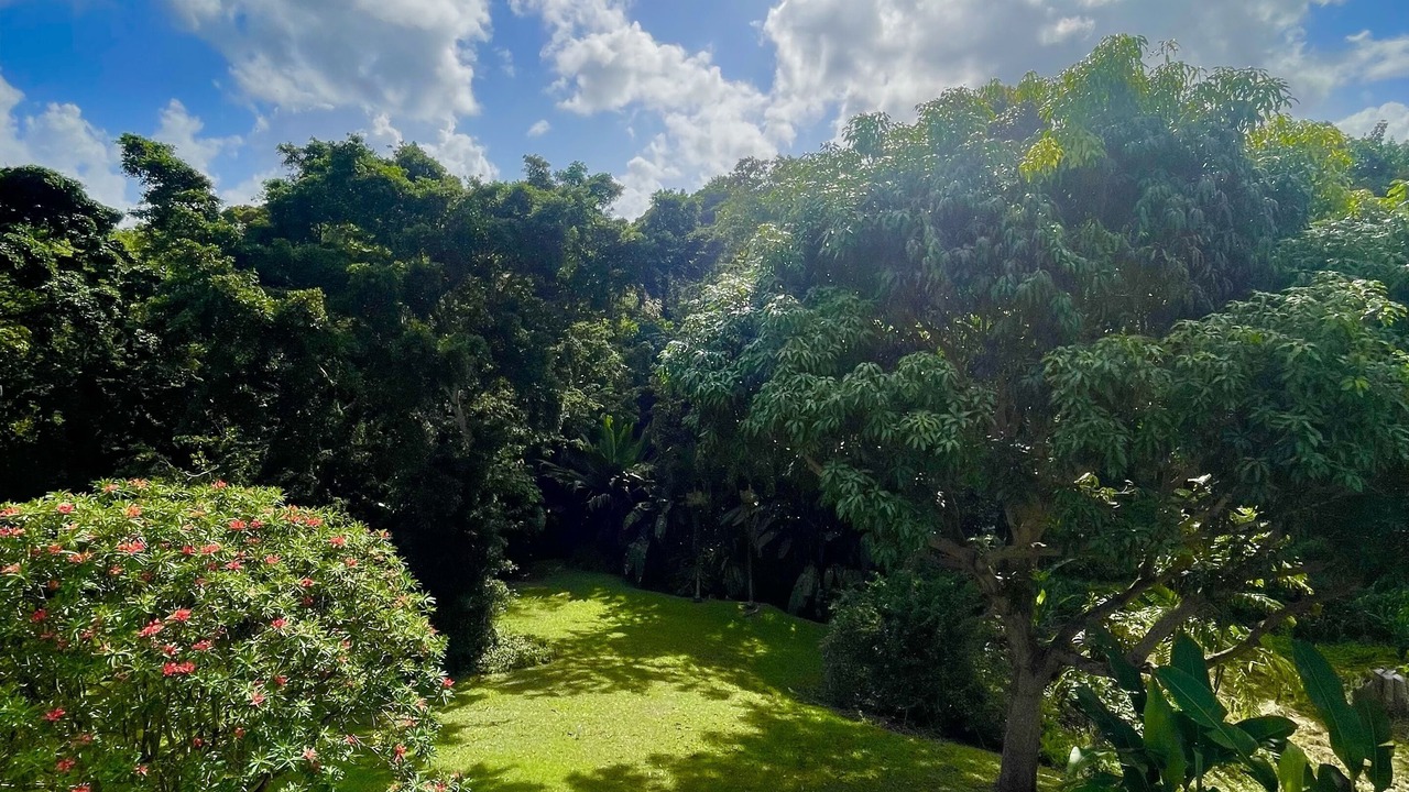 Photo of Outdoor in Princeville