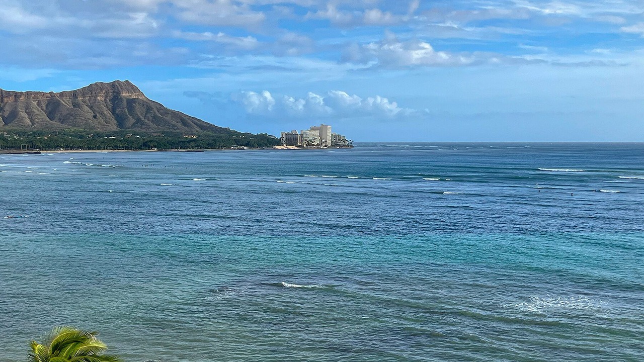 Photo of Others in Waikiki
