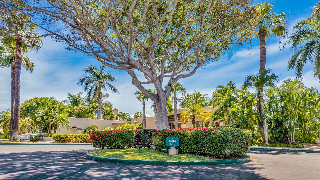 Photo of Outdoor in Wailea