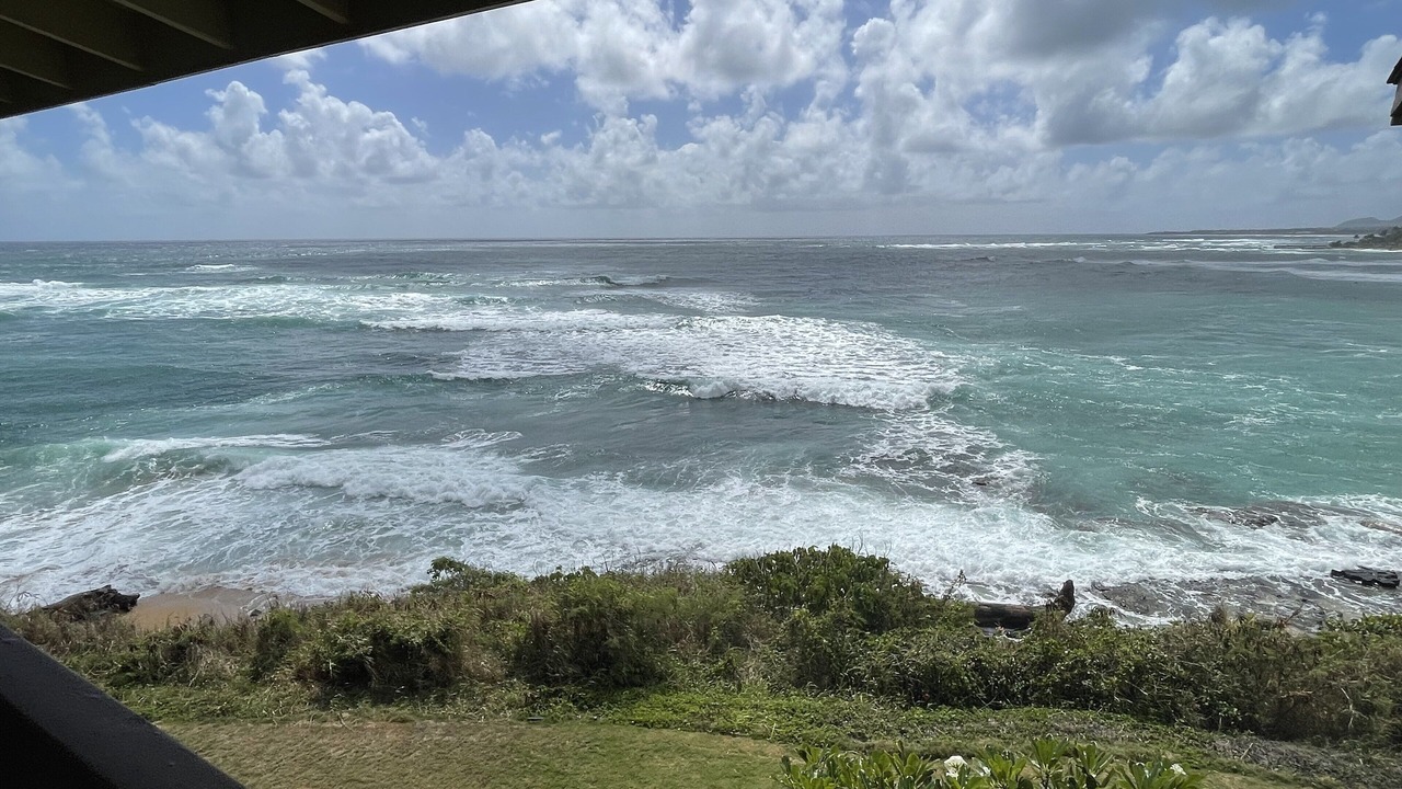 Photo of Others in Wailua