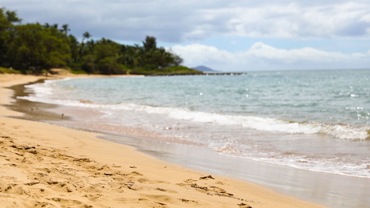 Photo of Others in Kihei