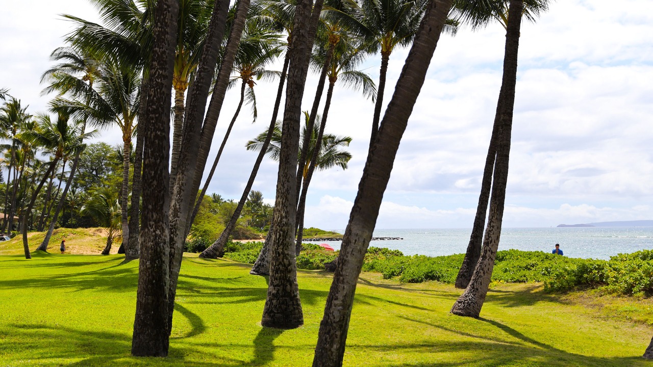 Photo of Outdoor in Kihei