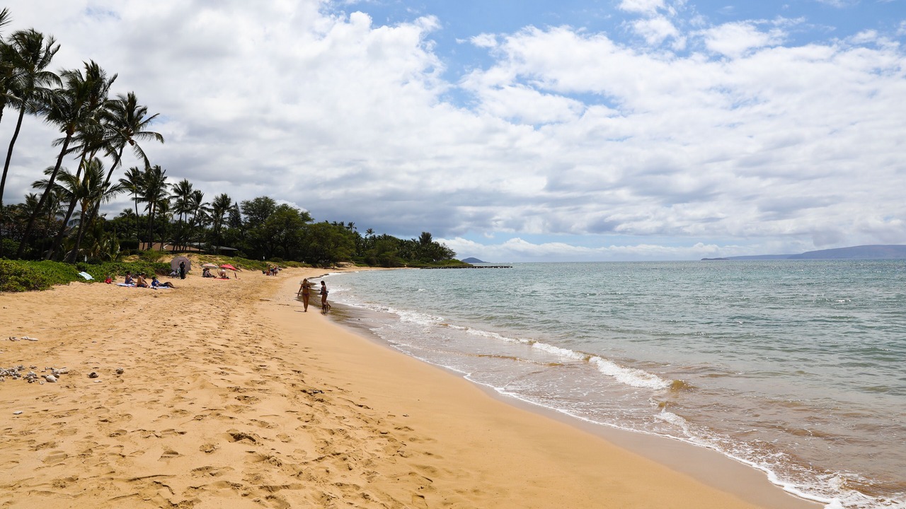 Photo of Others in Kihei