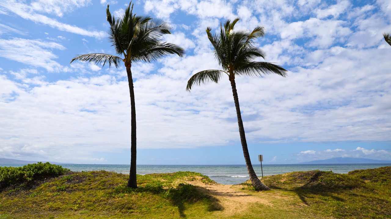 Photo of Others in Kihei