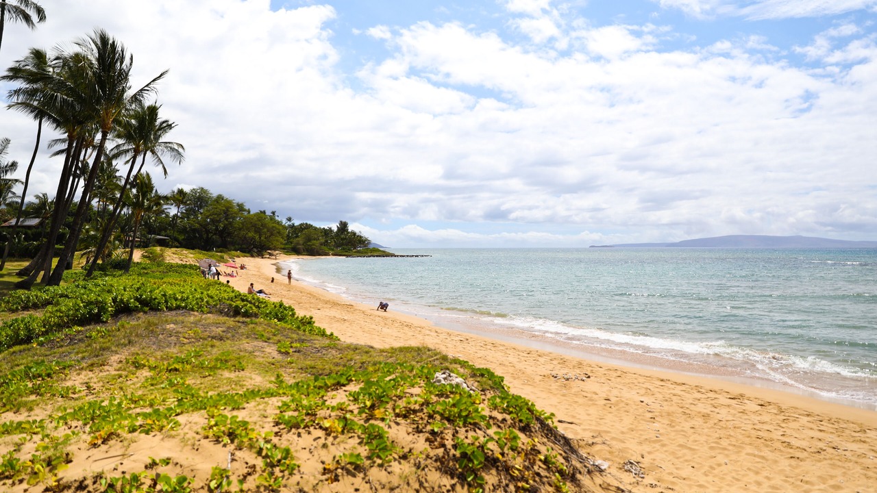 Photo of Others in Kihei