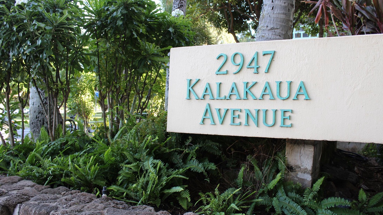 Photo of Others in Diamond Head - Kapahulu - St. Louis