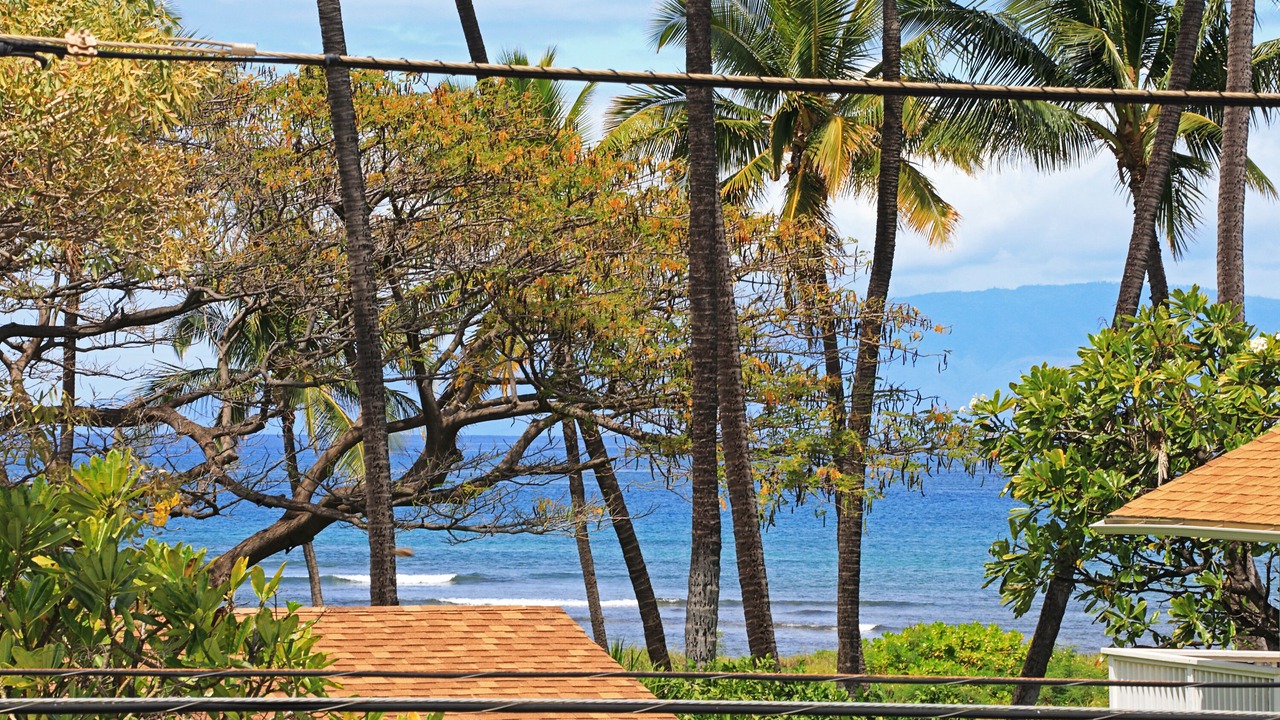 Photo of Outdoor in Kihei