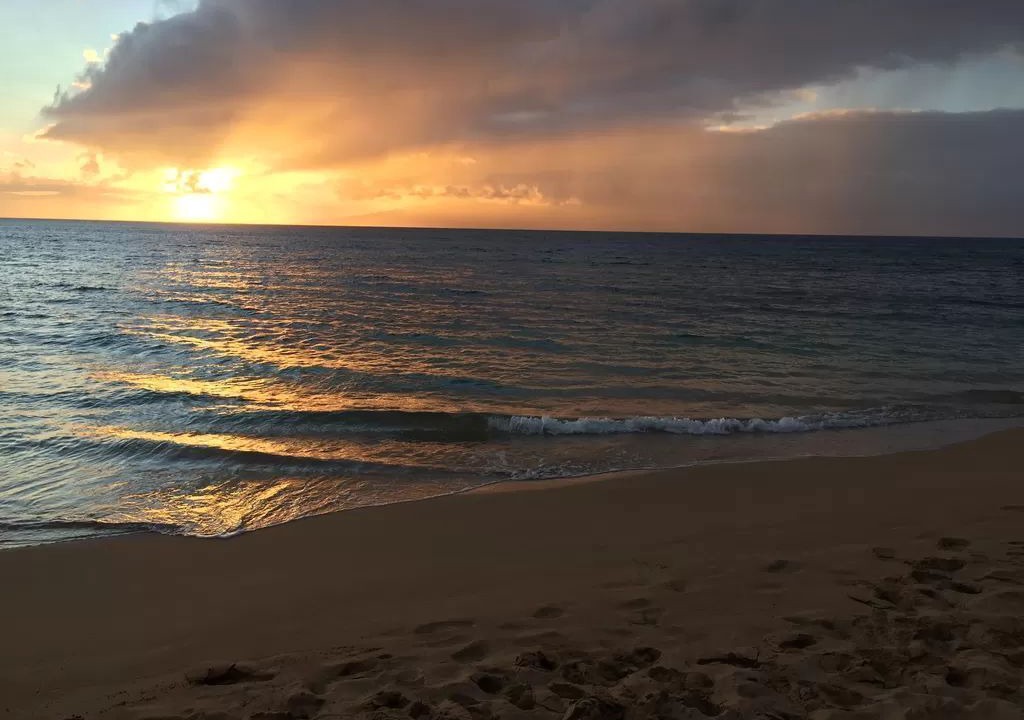 Photo of Others in Lahaina