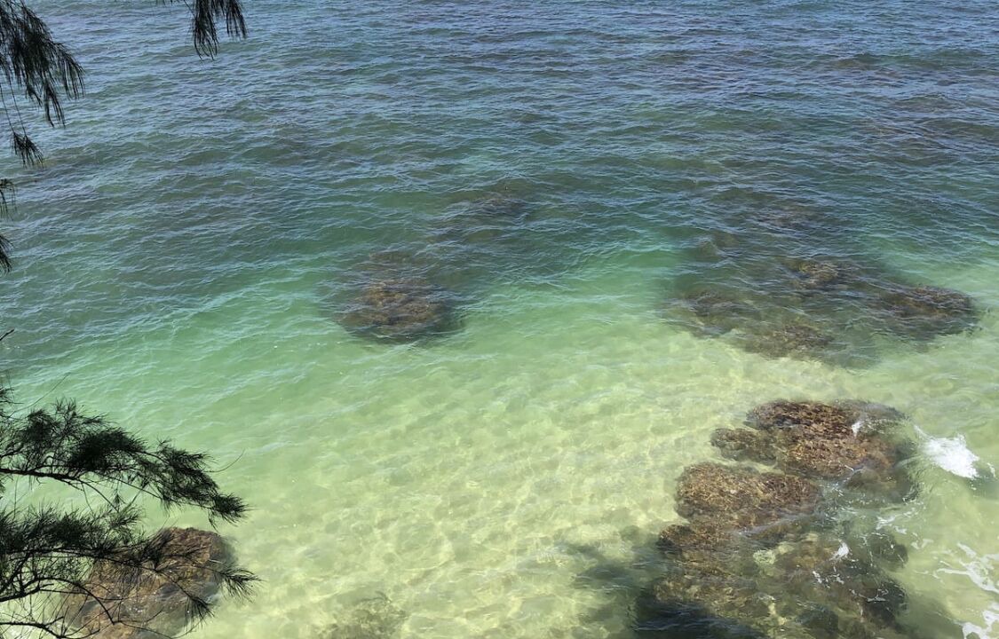 Photo of Others in Princeville