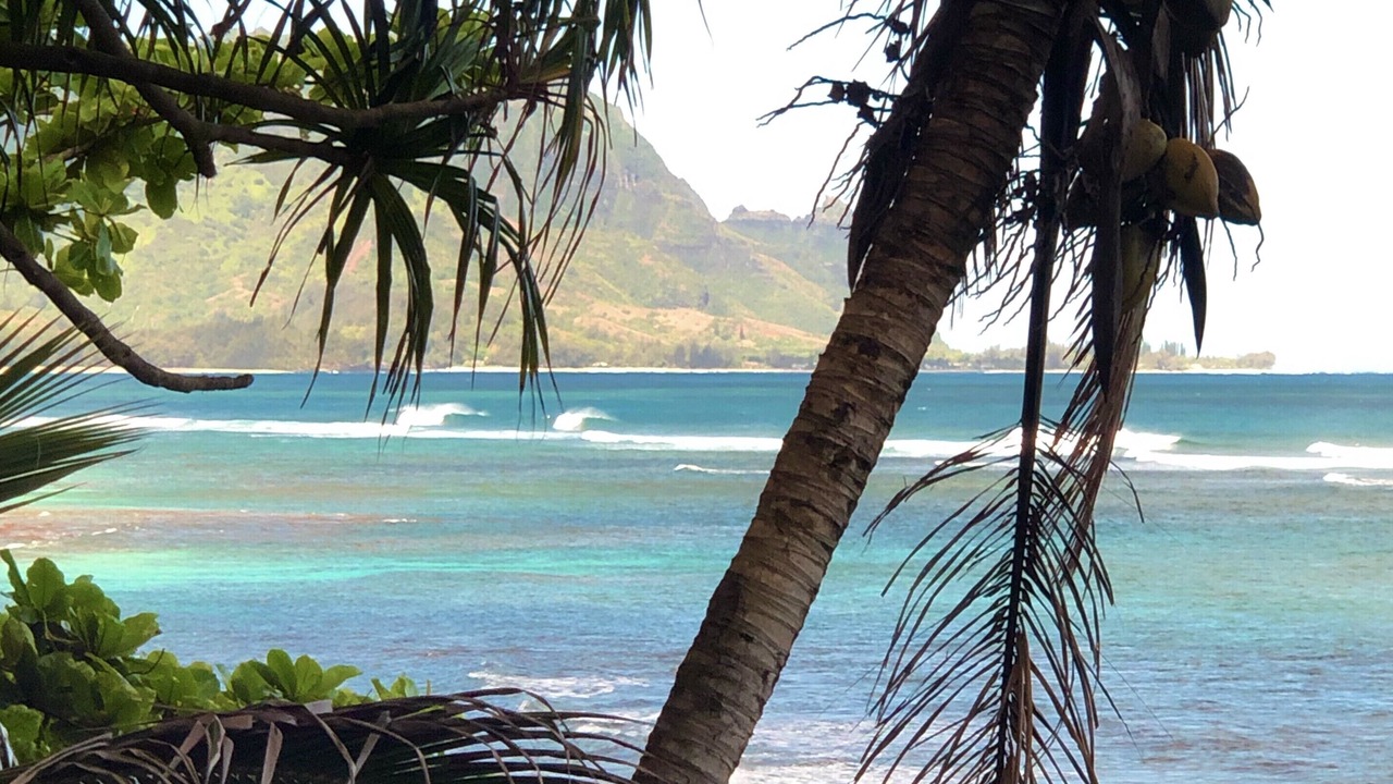 Photo of Others in Princeville
