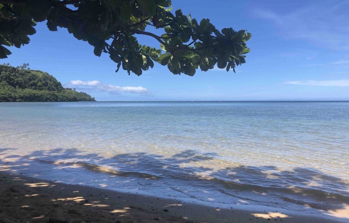 Photo of Others in Princeville