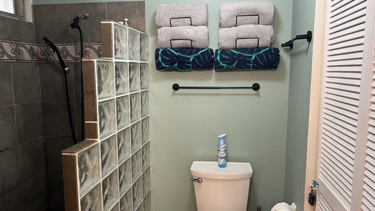Photo of Bathroom in Princeville