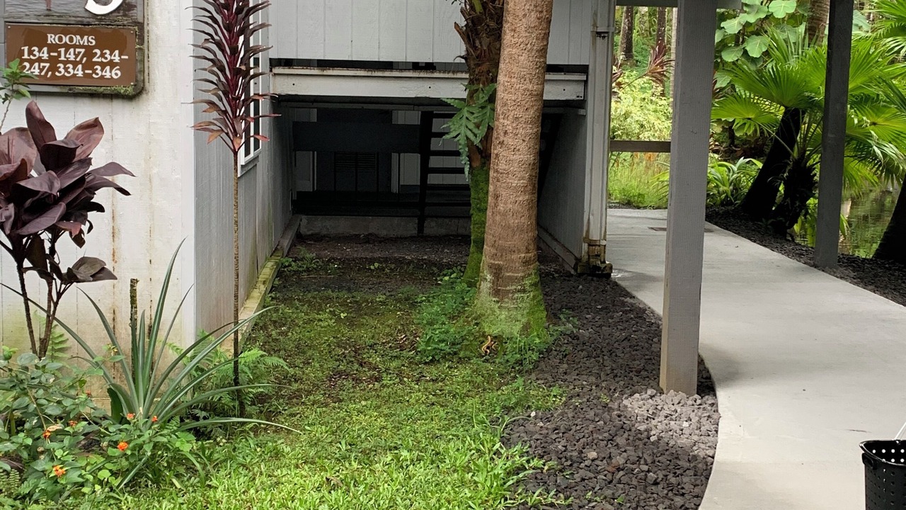 Photo of Outdoor in Hilo